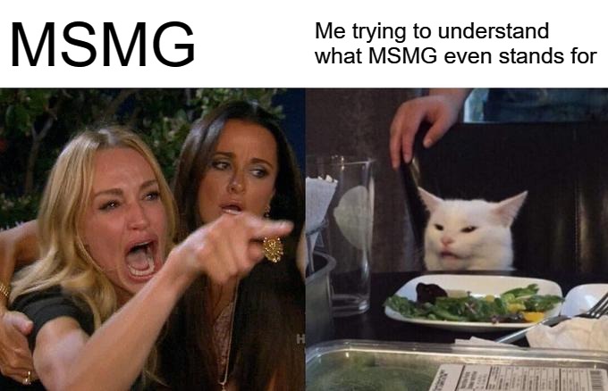 Woman Yelling At Cat | MSMG; Me trying to understand what MSMG even stands for | image tagged in memes,woman yelling at cat | made w/ Imgflip meme maker
