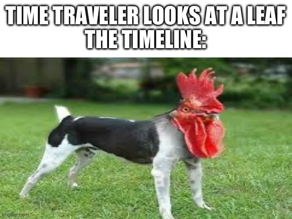 TIME TRAVELER LOOKS AT A LEAF
THE TIMELINE: | image tagged in meme,chicken,dog,time travel,timeline | made w/ Imgflip meme maker