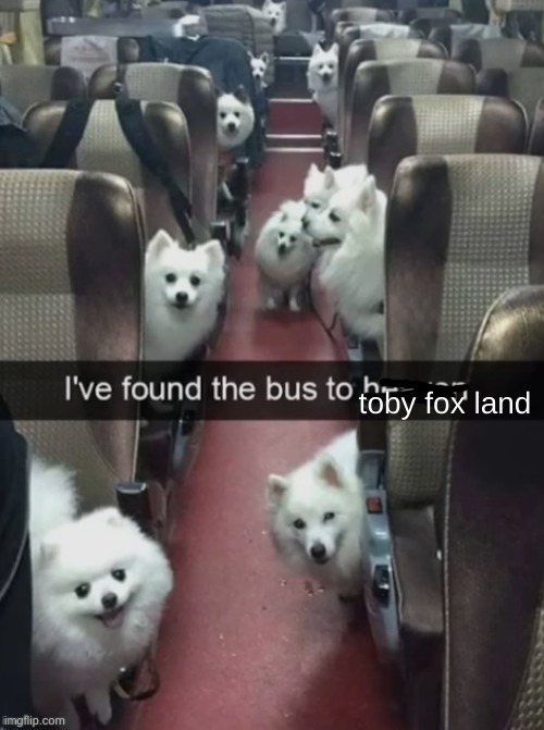 HOW DID THEY NOT CATCH THAT | toby fox land | image tagged in undertale,dogs | made w/ Imgflip meme maker
