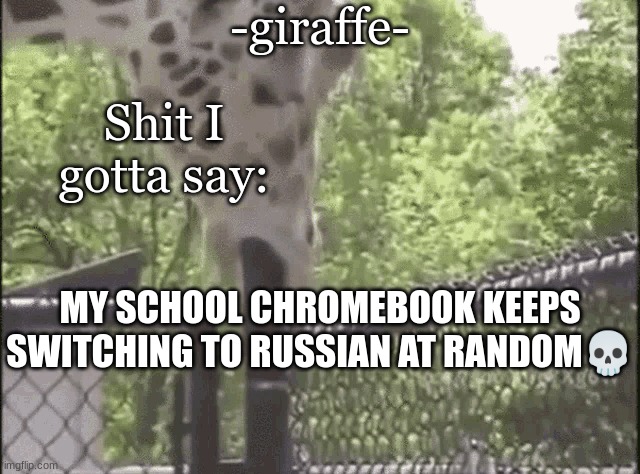 -giraffe- | MY SCHOOL CHROMEBOOK KEEPS SWITCHING TO RUSSIAN AT RANDOM💀 | image tagged in -giraffe- | made w/ Imgflip meme maker