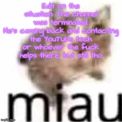 miau | Edit on the situation: The channel was terminated.
He's coming back and contacting the YouTube tech or whoever the fuck helps there, but still tho | image tagged in miau | made w/ Imgflip meme maker