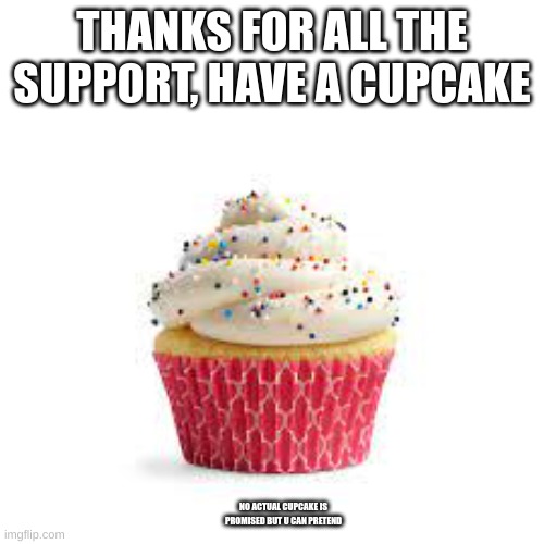 thank yaal | THANKS FOR ALL THE SUPPORT, HAVE A CUPCAKE; NO ACTUAL CUPCAKE IS PROMISED BUT U CAN PRETEND | image tagged in memes | made w/ Imgflip meme maker