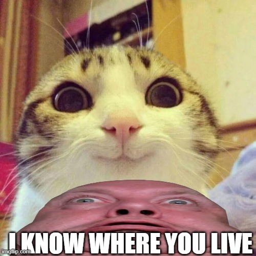 blob face yelling | I KNOW WHERE YOU LIVE | image tagged in memes,smiling cat | made w/ Imgflip meme maker
