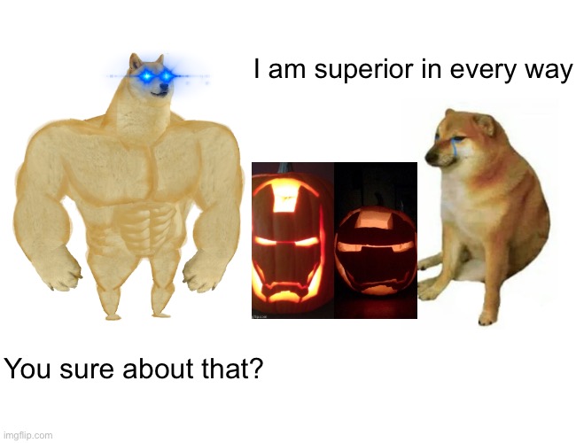 Buff Doge vs. Cheems | I am superior in every way; You sure about that? | image tagged in memes,buff doge vs cheems | made w/ Imgflip meme maker