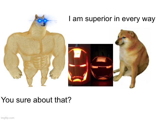 Buff Doge vs. Cheems Meme | I am superior in every way; You sure about that? | image tagged in memes,buff doge vs cheems | made w/ Imgflip meme maker