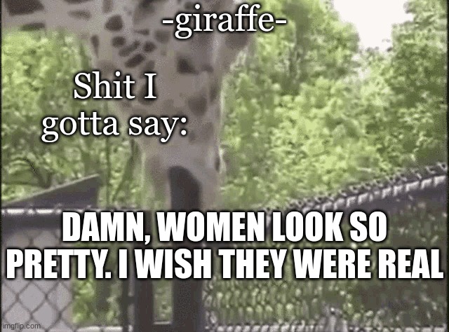 -giraffe- | DAMN, WOMEN LOOK SO PRETTY. I WISH THEY WERE REAL | image tagged in -giraffe- | made w/ Imgflip meme maker