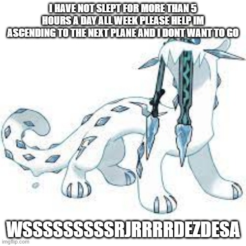 help | I HAVE NOT SLEPT FOR MORE THAN 5 HOURS A DAY ALL WEEK PLEASE HELP IM ASCENDING TO THE NEXT PLANE AND I DONT WANT TO GO; WSSSSSSSSSRJRRRRDEZDESA | image tagged in chien-pao template | made w/ Imgflip meme maker