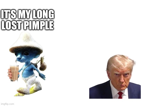 IT’S MY LONG LOST PIMPLE | image tagged in funny meme | made w/ Imgflip meme maker