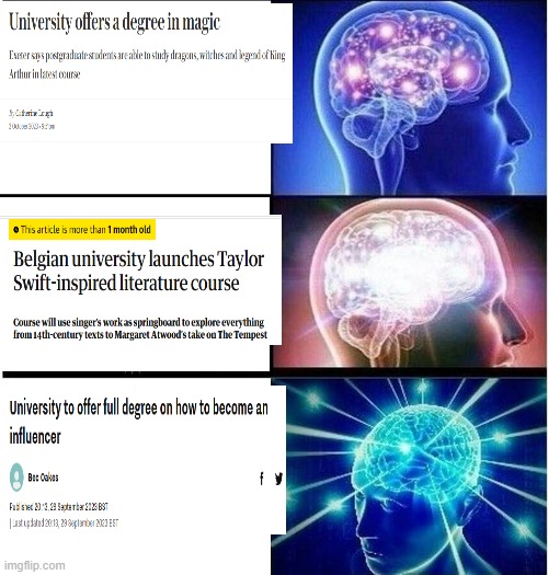 University courses | image tagged in expanding brain 3 panels,university,taylor swift,magic,influencer,harry potter | made w/ Imgflip meme maker