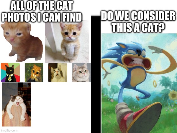 ALL OF THE CAT PHOTOS I CAN FIND; DO WE CONSIDER THIS A CAT? | image tagged in cute cats | made w/ Imgflip meme maker