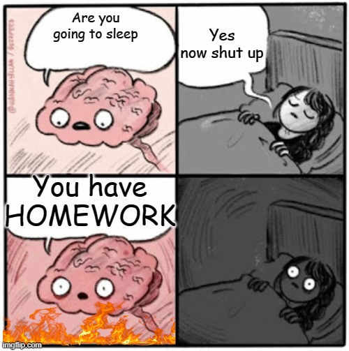 Relatable | Yes now shut up; Are you going to sleep; You have HOMEWORK | image tagged in brain before sleep,homework,fire,relatable,relatable memes | made w/ Imgflip meme maker
