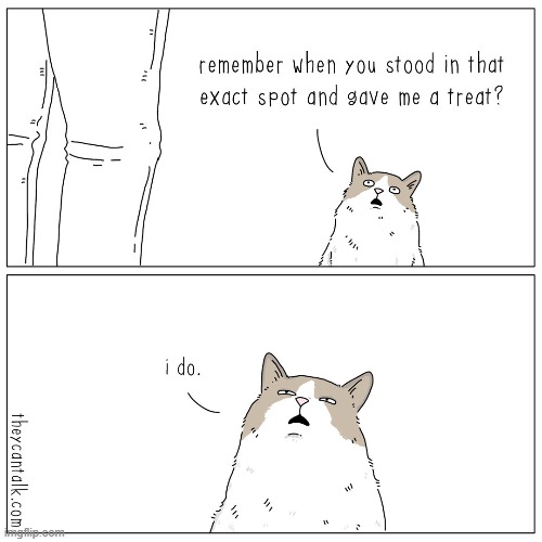 Homie thinks he found out how to get treats whenever he wants... :I | made w/ Imgflip meme maker