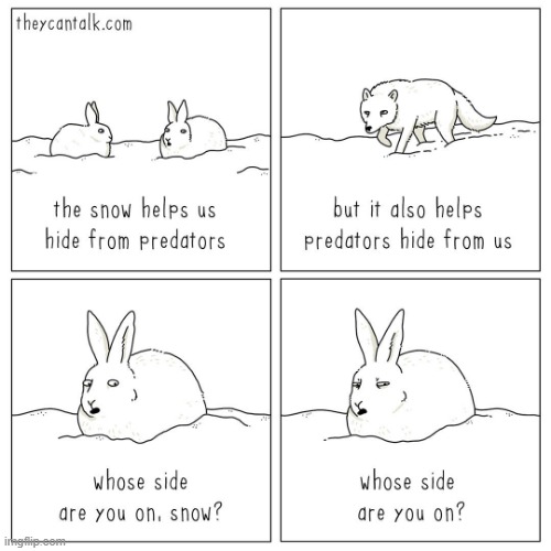 Both rabbits and foxes have been backstabbed, betrayed, and possibly... bamboozled | made w/ Imgflip meme maker