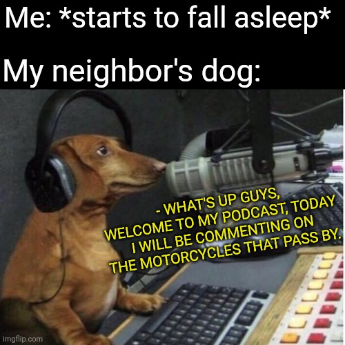 Dogcast | Me: *starts to fall asleep*; My neighbor's dog:; - WHAT'S UP GUYS, WELCOME TO MY PODCAST, TODAY I WILL BE COMMENTING ON THE MOTORCYCLES THAT PASS BY. | image tagged in dogs | made w/ Imgflip meme maker