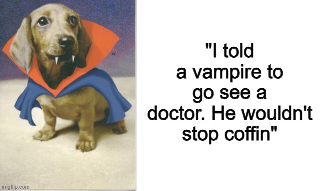 ... | "I told a vampire to go see a doctor. He wouldn't stop coffin" | image tagged in vampire dachshund,blank white template | made w/ Imgflip meme maker