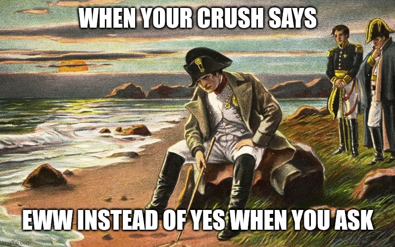 :( | WHEN YOUR CRUSH SAYS; EWW INSTEAD OF YES WHEN YOU ASK | image tagged in napoleon | made w/ Imgflip meme maker