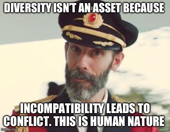 Liberals can’t understand human nature | DIVERSITY ISN’T AN ASSET BECAUSE; INCOMPATIBILITY LEADS TO CONFLICT. THIS IS HUMAN NATURE | image tagged in captain obvious,libtards | made w/ Imgflip meme maker