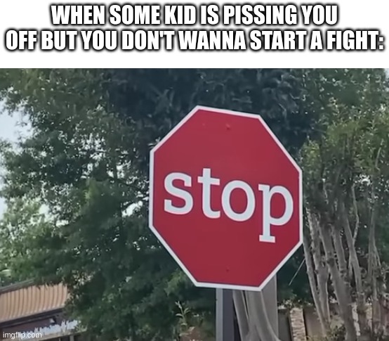 stop | WHEN SOME KID IS PISSING YOU OFF BUT YOU DON'T WANNA START A FIGHT: | image tagged in stop | made w/ Imgflip meme maker