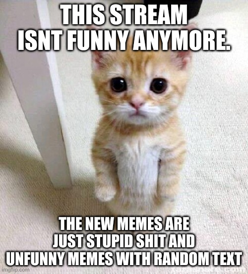 Cute Cat | THIS STREAM ISNT FUNNY ANYMORE. THE NEW MEMES ARE JUST STUPID SHIT AND UNFUNNY MEMES WITH RANDOM TEXT | image tagged in memes,cute cat | made w/ Imgflip meme maker