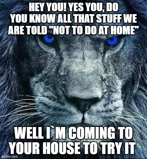detroit lions | HEY YOU! YES YOU, DO YOU KNOW ALL THAT STUFF WE ARE TOLD "NOT TO DO AT HOME"; WELL I`M COMING TO YOUR HOUSE TO TRY IT | image tagged in detroit lions | made w/ Imgflip meme maker