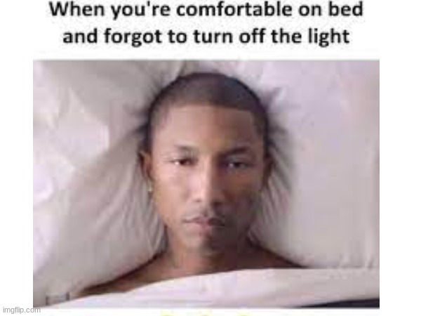 When your comfortable | image tagged in memes | made w/ Imgflip meme maker