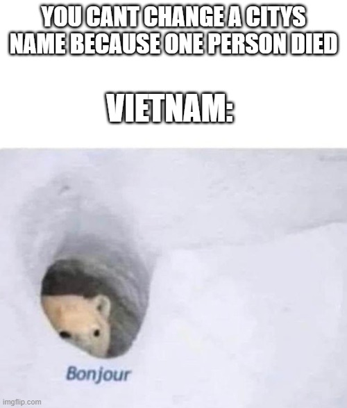 vietnamese history | YOU CANT CHANGE A CITYS NAME BECAUSE ONE PERSON DIED; VIETNAM: | image tagged in bonjour,memes,vietnam | made w/ Imgflip meme maker