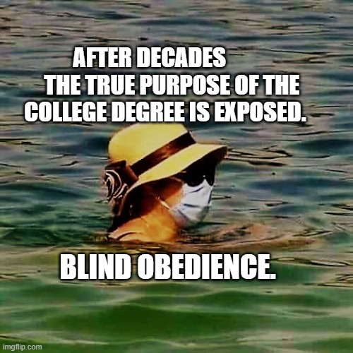 Woman wearing mask in water | AFTER DECADES           THE TRUE PURPOSE OF THE COLLEGE DEGREE IS EXPOSED. BLIND OBEDIENCE. | image tagged in woman wearing mask in water | made w/ Imgflip meme maker