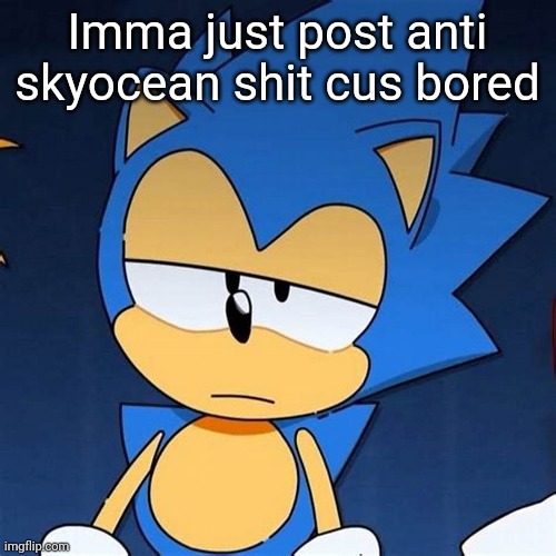 bruh | Imma just post anti skyocean shit cus bored | image tagged in bruh | made w/ Imgflip meme maker