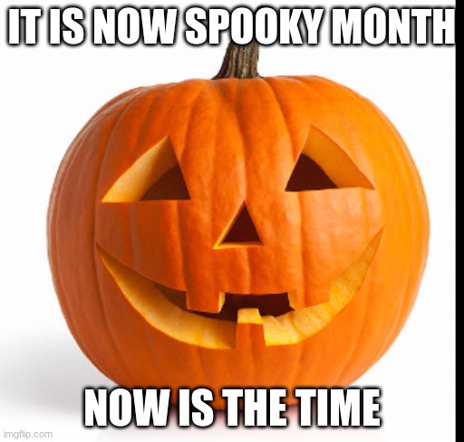 pumkin | IT IS NOW SPOOKY MONTH; NOW IS THE TIME | image tagged in pumkin | made w/ Imgflip meme maker