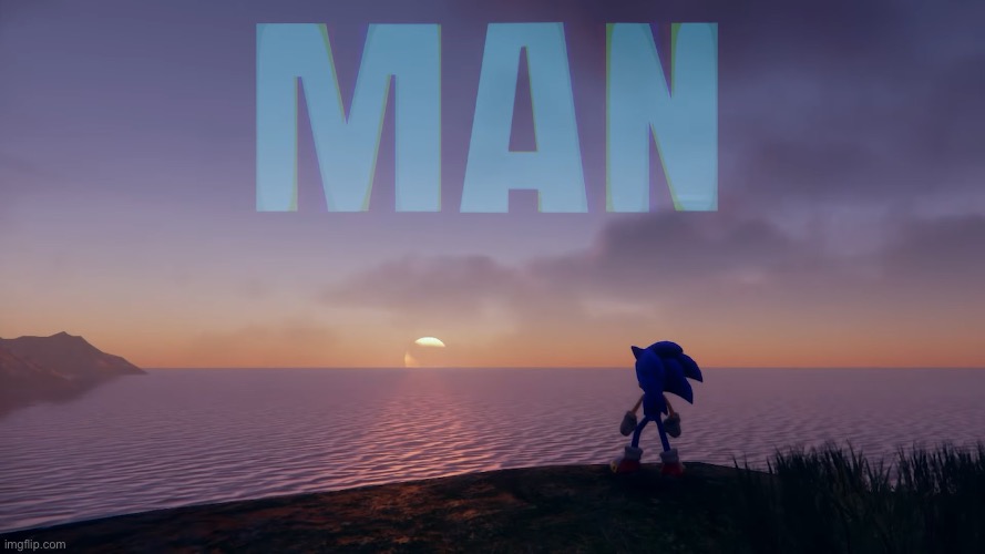 Man Sonic | image tagged in man sonic | made w/ Imgflip meme maker