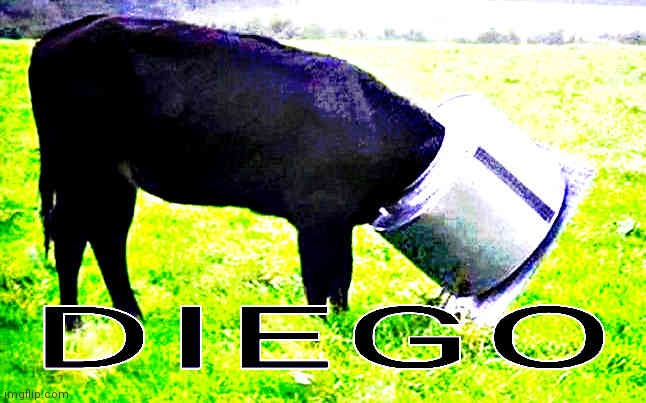 Diego... ? | image tagged in stuck,stuck animal,funny,no context,gen z humor | made w/ Imgflip meme maker