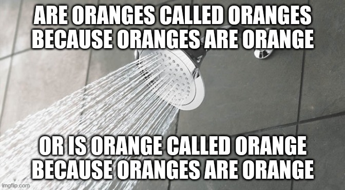 Most confusing thing | image tagged in shower thoughts | made w/ Imgflip meme maker