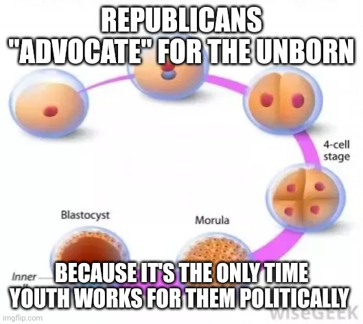 That's some social truth | REPUBLICANS "ADVOCATE" FOR THE UNBORN; BECAUSE IT'S THE ONLY TIME YOUTH WORKS FOR THEM POLITICALLY | image tagged in republican,agenda,vote | made w/ Imgflip meme maker