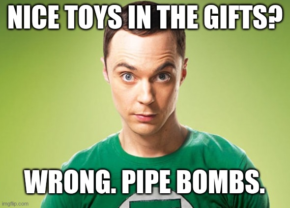 Sheldon Cooper | WRONG. PIPE BOMBS. NICE TOYS IN THE GIFTS? | image tagged in sheldon cooper | made w/ Imgflip meme maker