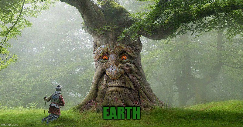 Wise mystical tree | EARTH | image tagged in wise mystical tree | made w/ Imgflip meme maker