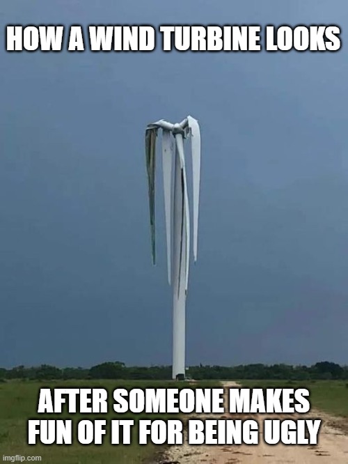 they are pretty ugly | HOW A WIND TURBINE LOOKS; AFTER SOMEONE MAKES FUN OF IT FOR BEING UGLY | image tagged in stupid liberals,renewable energy,funny memes,political meme,sad | made w/ Imgflip meme maker