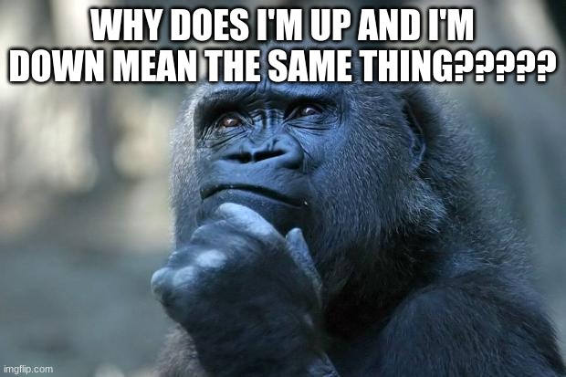 Deep Thoughts | WHY DOES I'M UP AND I'M DOWN MEAN THE SAME THING????? | image tagged in deep thoughts | made w/ Imgflip meme maker