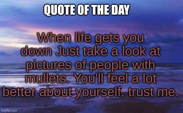 Quote of the day | QUOTE OF THE DAY; When life gets you down Just take a look at pictures of people with mullets. You'll feel a lot better about yourself, trust me. | image tagged in aesthetic | made w/ Imgflip meme maker