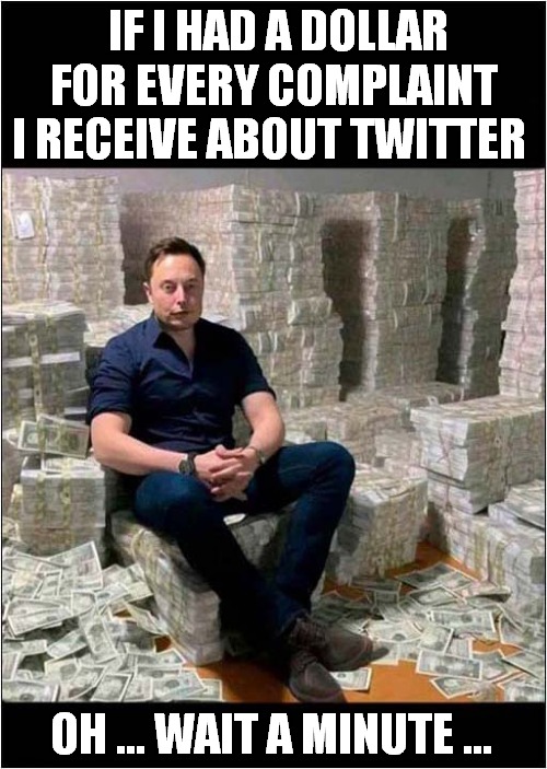 He's On The Money ! | IF I HAD A DOLLAR FOR EVERY COMPLAINT I RECEIVE ABOUT TWITTER; OH ... WAIT A MINUTE ... | image tagged in elon musk,money,twitter,complaint | made w/ Imgflip meme maker