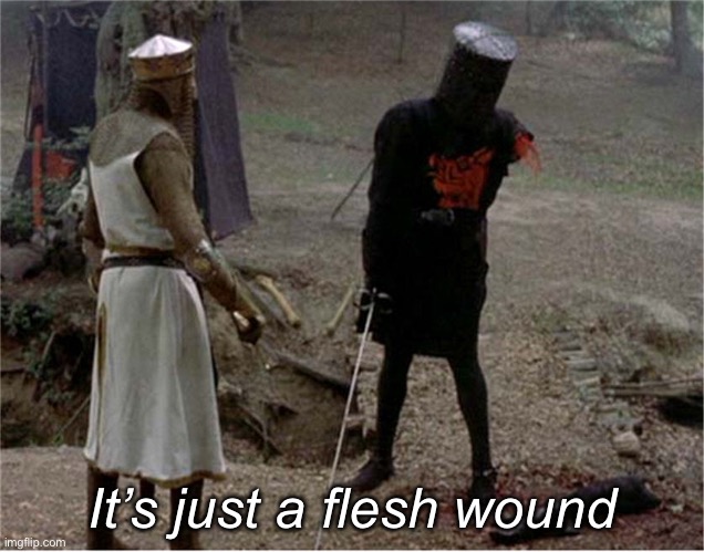 FLesh wound | It’s just a flesh wound | image tagged in flesh wound | made w/ Imgflip meme maker