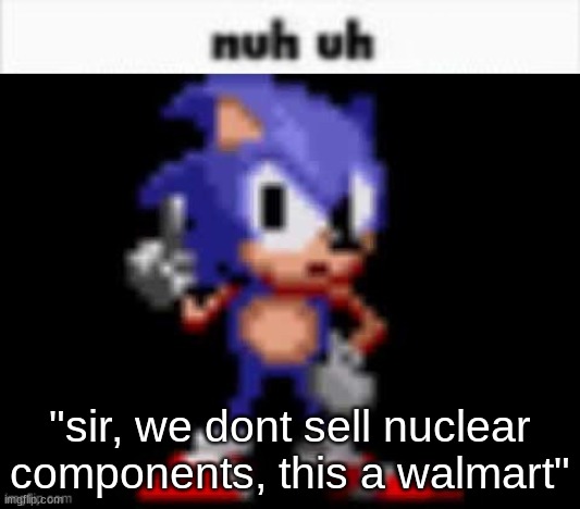 i will get my components | "sir, we dont sell nuclear components, this a walmart" | image tagged in cd sonic nuh uh | made w/ Imgflip meme maker