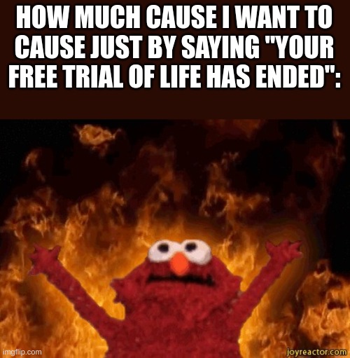 Elmo In Hell | HOW MUCH CAUSE I WANT TO CAUSE JUST BY SAYING "YOUR FREE TRIAL OF LIFE HAS ENDED": | image tagged in elmo in hell,your free trial of living has ended | made w/ Imgflip meme maker