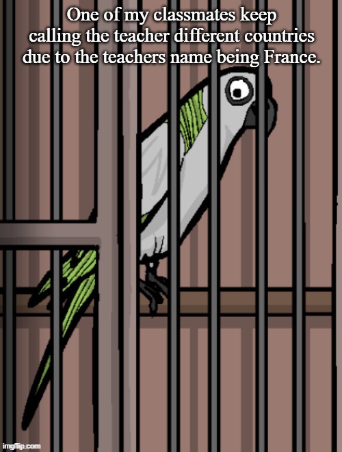 Bird on crack | One of my classmates keep calling the teacher different countries due to the teachers name being France. | image tagged in bird on crack | made w/ Imgflip meme maker