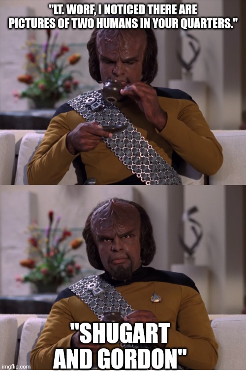 Worf Tea | "LT. WORF, I NOTICED THERE ARE PICTURES OF TWO HUMANS IN YOUR QUARTERS."; "SHUGART AND GORDON" | image tagged in worf tea | made w/ Imgflip meme maker