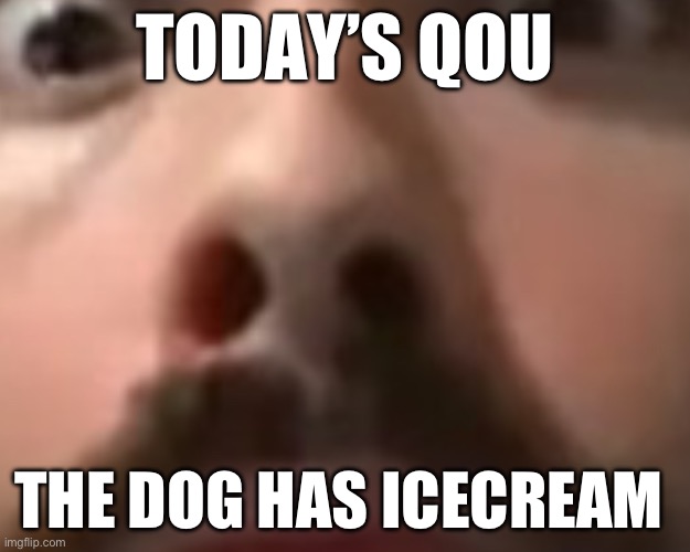 . | TODAY’S QUOTE; THE DOG HAS ICECREAM | image tagged in close up moist | made w/ Imgflip meme maker