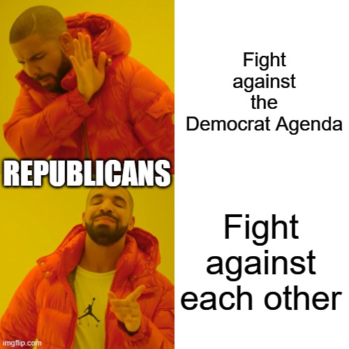 Drake Hotline Bling Meme | Fight against the Democrat Agenda; REPUBLICANS; Fight against each other | image tagged in memes,drake hotline bling | made w/ Imgflip meme maker