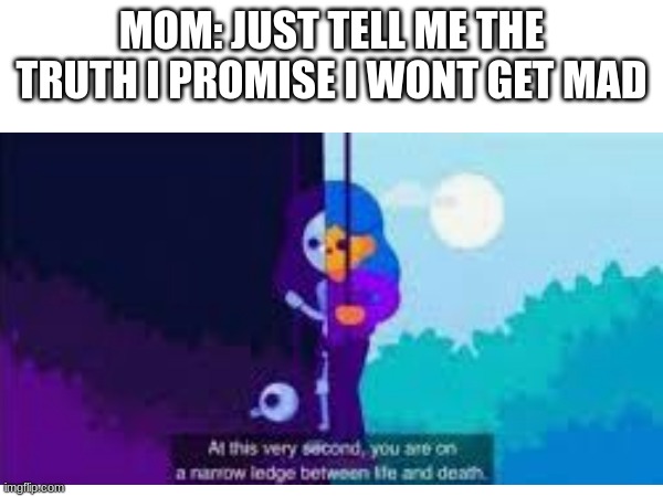 MOM: JUST TELL ME THE TRUTH I PROMISE I WONT GET MAD | image tagged in fun | made w/ Imgflip meme maker