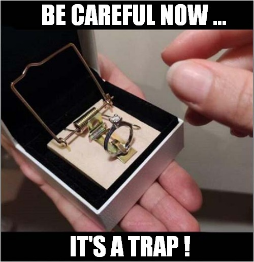 It's An Engagement Ring ! | BE CAREFUL NOW ... IT'S A TRAP ! | image tagged in engagement,ring,it's a trap,dark humour | made w/ Imgflip meme maker