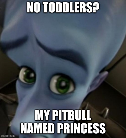 Megamind no bitches | NO TODDLERS? MY PITBULL NAMED PRINCESS | image tagged in megamind no bitches | made w/ Imgflip meme maker