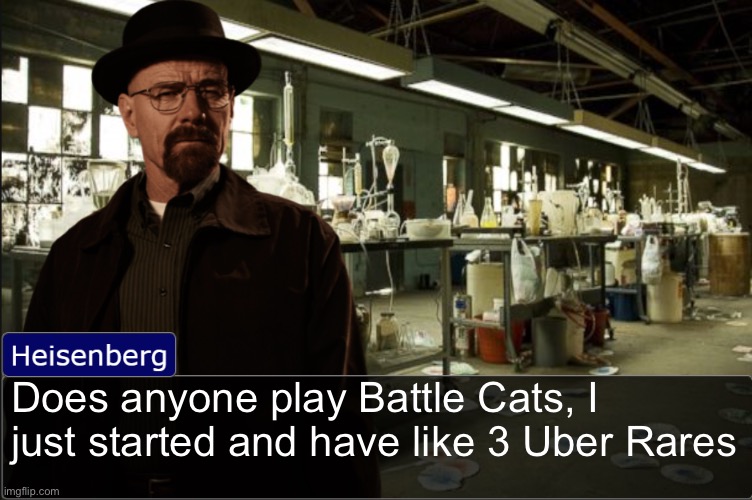 Heisenberg objection template | Does anyone play Battle Cats, I just started and have like 3 Uber Rares | image tagged in heisenberg objection template | made w/ Imgflip meme maker